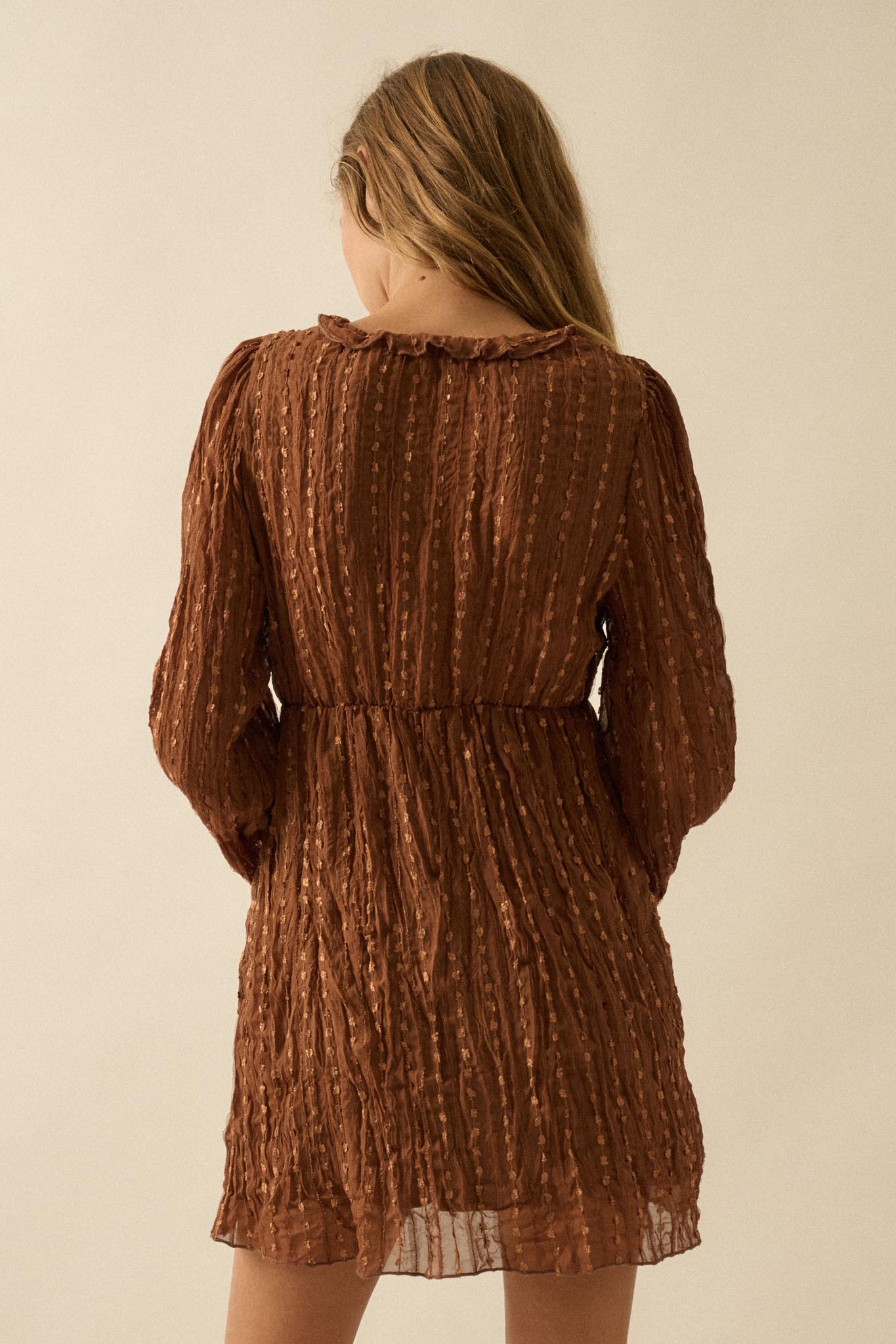 Angelic Beauty Embroidered Chiffon Mini Dress