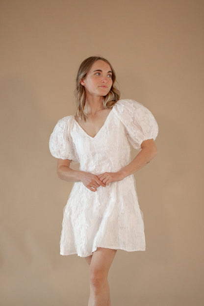 Philip Lace Mini Dress