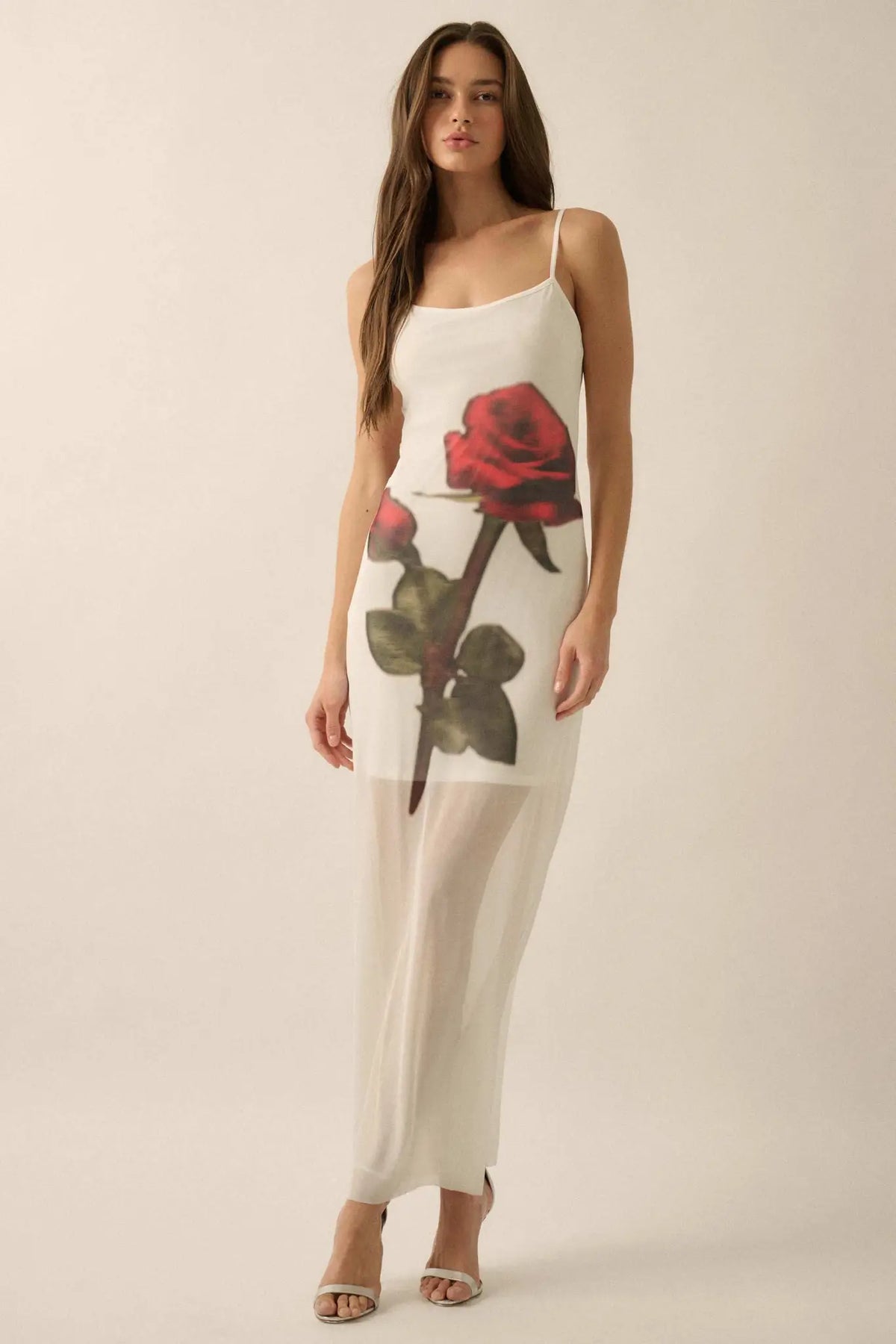 Kiss From a Rose Printed Mesh Layered Maxi Dress