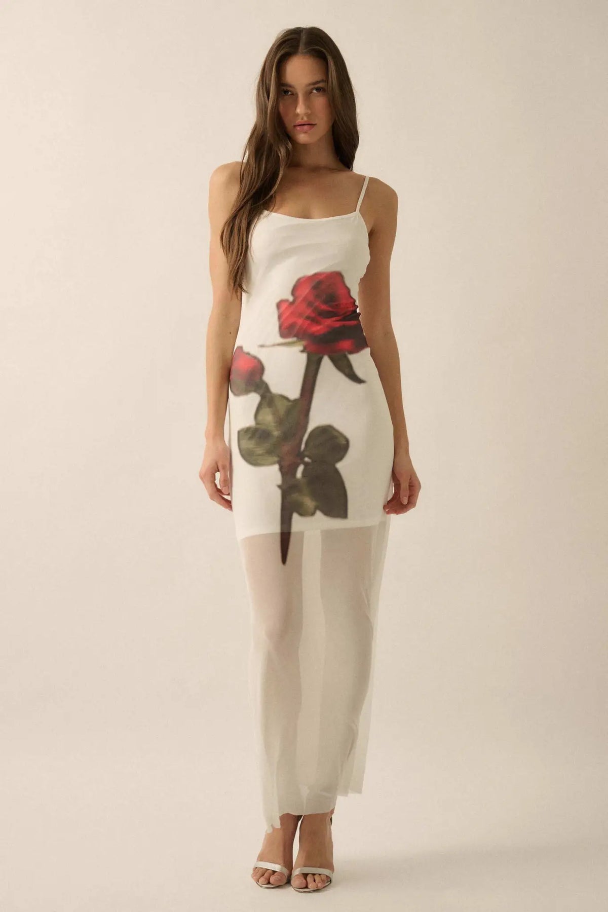 Kiss From a Rose Printed Mesh Layered Maxi Dress